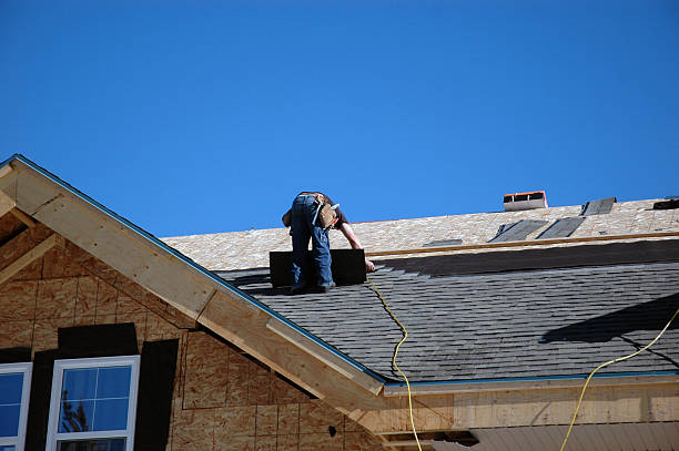 Best Roof Gutter Cleaning  in Hawarden, IA